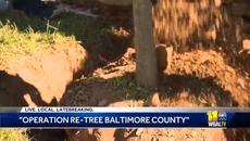 Program aims to bring tree equity to more neighborhoods - Videoclip.bg