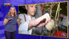 УВРЕДЕН СЛУХ В ДЕЦА ТЪРГОВИЩЕ УЧИЛИЩЕТО - Videoclip.bg