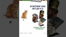 Лютые приколы и мемы #приколы #лютыеприколы #мемы2021 #юмор #озвучка #мемыпро100 - Videoclip.bg