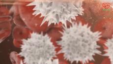 ПНЕВМОНИЯ? ЛЕСНИ ДОМАШНИ СРЕДСТВА ЗА ЛЕЧЕНИЕ! ЕФЕКТИВНИ ДОМАШНИ РЕЦЕПТИ ЗА ЛЕЧЕНИЕ НА ПНЕВМОНИЯ! - Videoclip.bg