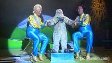 A Song for Dee Vee | Tim and Eric Awesome Show, Great Job! | Adult Swim - Videoclip.bg