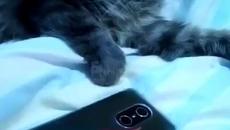 Вече и аз съм фен ха ха - Videoclip.bg