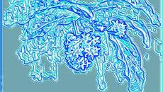 Unperturbed Stubborn Perturbed - Videoclip.bg