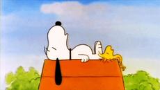 chooseylover - Videoclip.bg