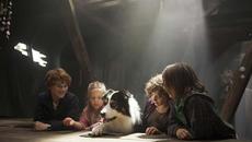 Великолепната петорка и долината на динозаврите (синхронен екип, нов дублаж по БНТ 1 на 28.12.2021 г.) (запис) - Videoclip.bg