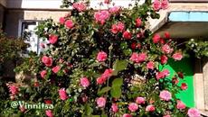 Доброе Утро! ХИТЫ 2022 Январь - Анна Громова ЛЮБИ МЕНЯ ТАКОЙ, КАК ЕСТЬ - Videoclip.bg