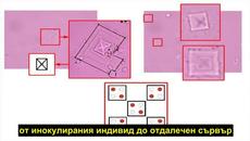 Електронния КОНЦЛАГЕР ВЕЧЕ в ФАКТ -FUCKсините съдържат нанотехнология за Контрол и Смърт - - Videoclip.bg