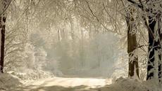 Chi Mai ~Ennio Morricone~ - Videoclip.bg