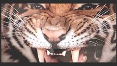 LSG - Door #1 - Videoclip.bg