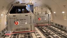 Horses Fly 6,000 Miles in Anti-Slip Stables - Videoclip.bg