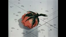 topographies - Rose of Sharon (Music Video) - Videoclip.bg