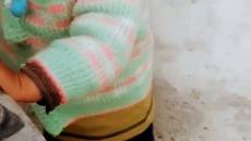 Johny Johny Yes Papa short video - Videoclip.bg