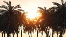 What's Real (HumaNature Remix) - Videoclip.bg