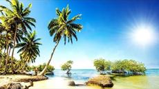 Музыка Сергея Чекалина  -  Пальмы. - Videoclip.bg