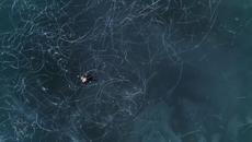 Евгений Соколовский - Антонио Вивальди «Зима». Премьера 2019 - Videoclip.bg