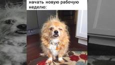 Мемы 2022 - Videoclip.bg