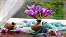 Приятен ден - Музикален поздрав - Videoclip.bg