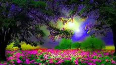 полянка синтезатор - Videoclip.bg