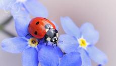 В 17.33 часа настъпи астрономическата пролет - Videoclip.bg