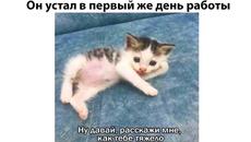 Мемы 2022 - Videoclip.bg