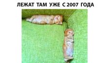 Мемы 2022 - Videoclip.bg