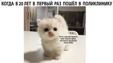 Мемы 2022 - Videoclip.bg