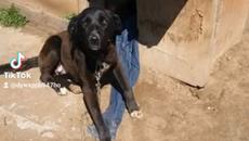 c1ff344eb125f7aec046f5120b713588 - Videoclip.bg