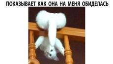 Мемы 2022 - Videoclip.bg