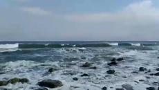 Рисувам морето и хоризонта ... В  зимни цветове - Videoclip.bg