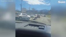 Knife-wielding woman knocked down by police vehicle in dramatic arrest - Videoclip.bg