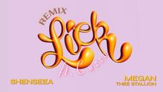 Shenseea ft Megan Thee Stallion - Lick [Remix] - Videoclip.bg