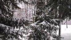 Китайская Песня ВЕЧНАЯ ЛЮБОВЬ - С Новым Годом ТИГРА - Videoclip.bg