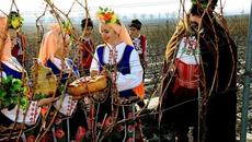 ТРИФОН ЗАРЕЗАН ФЕВРУАРИ 2022 Г. 1-ВИ ИЛИ 14-ТИ - ПРАЗНУВАХТЕ ЛИ ТРИФОНОВДЕН - Videoclip.bg