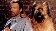 Върховно куче БГ аудио 1995 - Videoclip.bg