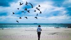 Тази любов ♛ Craig Armstrong feat Liz Fraser - This Love - Videoclip.bg