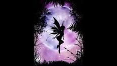 ПРОБИ ОТ ПТИЦА (КАК СЕ РАЖДА ЕДНА ПЕСЕН - ДЕМО) - Videoclip.bg