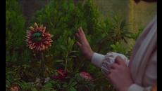 Mitski - Stay Soft (Official Video) - Videoclip.bg