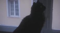 Someone Who Isn't Me  - Never Let Me Go (Official Video) - Videoclip.bg