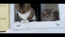 Зимой в деревне...Ой, Дуся, ой, Маруся - Videoclip.bg