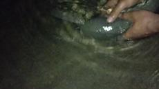 Последното ни сомче за 2021 година - Videoclip.bg