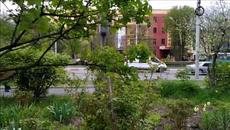 ТАК ХОЧЕТСЯ ТЮЛЬПАНОВ в ФЕВРАЛЕ - Videoclip.bg