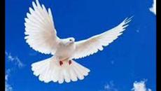 ЛЮБОВ - КАТО БЯЛА ПТИЦА - Videoclip.bg