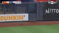 Котка по време на бейсболен мач - Videoclip.bg