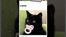 Лютые приколы и мемы #приколы #лютыеприколы #мемы2021 #юмор #озвучка - Videoclip.bg