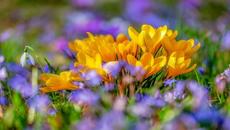 Валежите спират, но застудяването ще продължи - Videoclip.bg