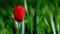 Лаленце се люлее - Детска песничка - Videoclip.bg