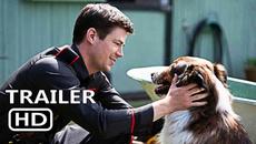 Rescued By Ruby / Спасението на Руби (2022) - Трейлър [БГ СУБТИТРИ] - Videoclip.bg