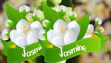 Здравствуй, Весна! - Videoclip.bg