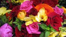 Все цветы для тебя - Videoclip.bg