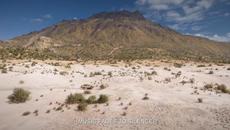 Sign Language Support Comes to Forza Horizon 5 - Videoclip.bg